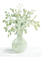 CIN3018 - Eucalyptus Beauty I - 12x16