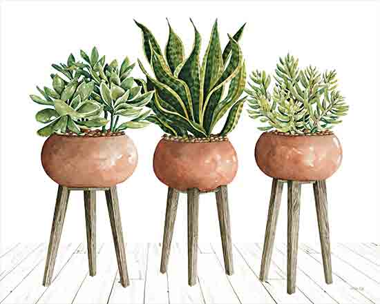 Cindy Jacobs Licensing CIN3164LIC - CIN3164LIC - Clay Pot Trio of Plants - 0  from Penny Lane