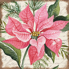 CIN3271LIC - Pink Poinsettia Botanical - 0