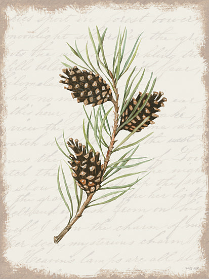 Cindy Jacobs CIN3281 - CIN3281 - Pine Cone Botanical I - 12x16 Pine Cones, Botanical, Evergreen, Sprig, Nature, Christmas, Holidays  from Penny Lane