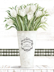 CIN3287 - White Tulips - 12x16