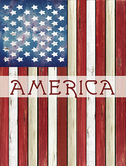 CIN3297 - American Flag - 12x16