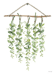 CIN3371 - Hanging Greens I - 12x16