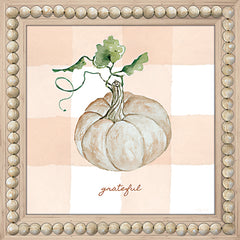 CIN3440 - Grateful Pumpkin - 12x12