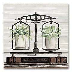 CIN3474PAL - Balanced Plant Life - 12x12