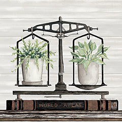 CIN3474 - Balanced Plant Life - 12x12