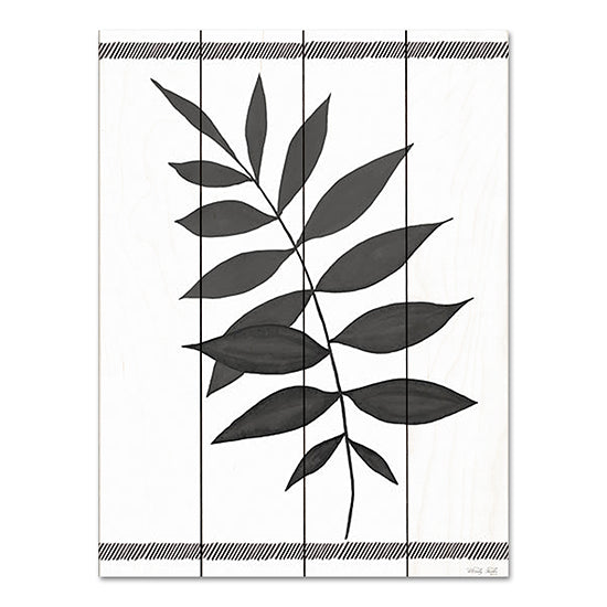 Cindy Jacobs CIN3515PAL - CIN3515PAL - Leaf Collection II - 12x16 Leaves, Leaf Collection, Black & White from Penny Lane