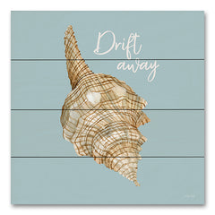 CIN3538PAL - Drift Away Seashell - 12x12