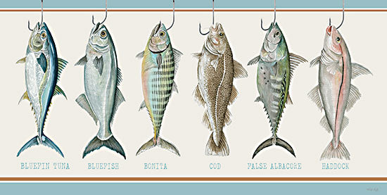 Cindy Jacobs CIN3545 - CIN3545 - Bunch of Fish - 18x9 Fish, Types of Fish, Coastal, Masculine, Fishing, Typography, Signs from Penny Lane