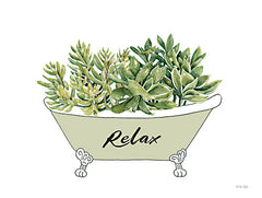 CIN3603 - Succulent Tub - 16x12