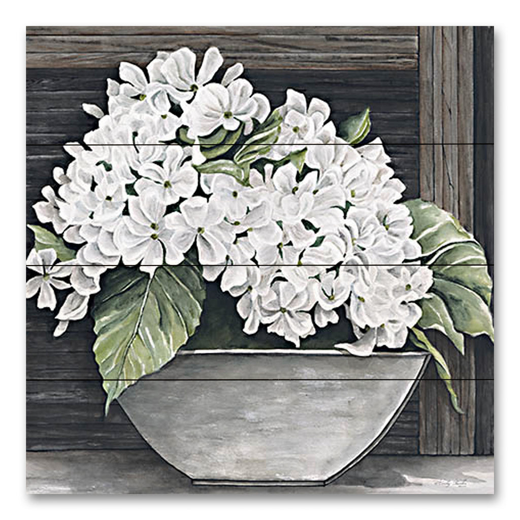 Cindy Jacobs CIN3688PAL - CIN3688PAL - Hydrangea Pot - 12x12 Flowers, White Flowers, Hydrangeas, Potted Hydrangeas, Dark Background, Spring, Spring Flowers, Farmhouse/Country from Penny Lane