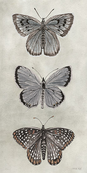 Cindy Jacobs CIN3728 - CIN3728 - Antique Butterflies I - 9x18 Butterflies, Trio of Butterflies, Nature from Penny Lane