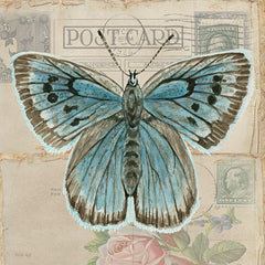 CIN3730LIC - Postcard Butterfly I - 0