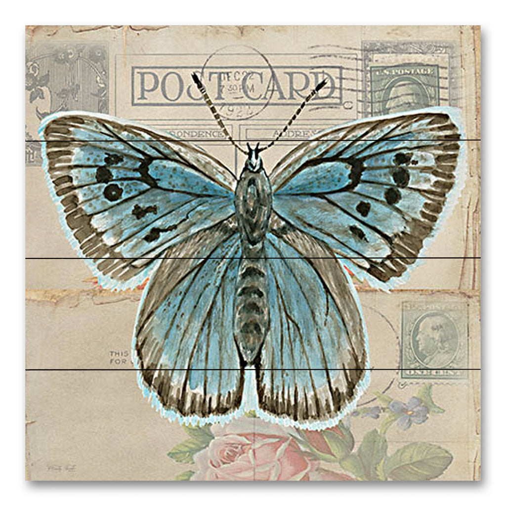 Cindy Jacobs CIN3730PAL - CIN3730PAL - Postcard Butterfly I - 12x12 Butterfly, Postcard, Blue Butterfly, Typography, Signs, Vintage from Penny Lane