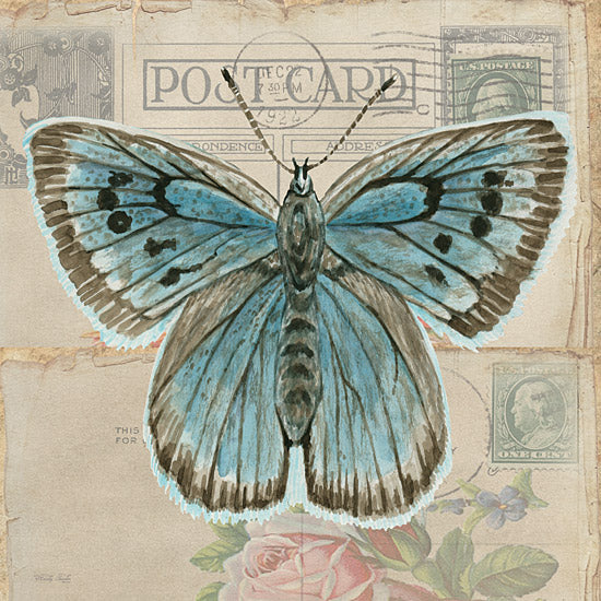 Cindy Jacobs CIN3730 - CIN3730 - Postcard Butterfly I - 12x12 Butterfly, Postcard, Blue Butterfly, Typography, Signs, Vintage from Penny Lane