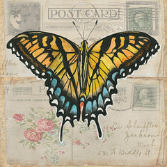 CIN3731LIC - Postcard Butterfly II - 0
