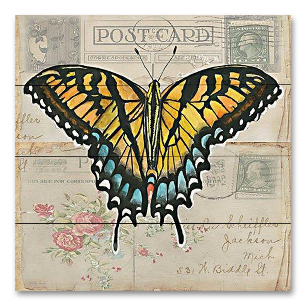 Cindy Jacobs CIN3731PAL - CIN3731PAL - Postcard Butterfly II - 12x12 Butterfly, Postcard, Yellow Butterfly, Typography, Signs, Vintage from Penny Lane