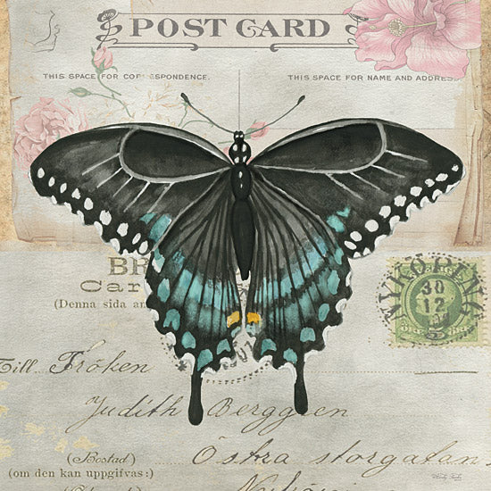 Cindy Jacobs Licensing  CIN3732LIC - CIN3732LIC - Postcard Butterfly III - 0  from Penny Lane