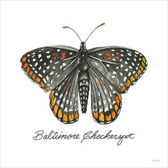 CIN3734LIC - Baltimore Checkerspot - 0