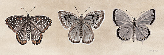 Cindy Jacobs CIN3764 - CIN3764 - Antique Butterfly Sketch II - 18x6 Butterfly, Still Life, Insects, Antique Butterfly Sketch, Nature from Penny Lane