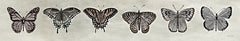 CIN3767LIC - Row of Butterflies I - 0