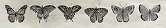 CIN3767 - Row of Butterflies I - 36x6