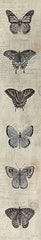 CIN3768 - Row of Butterflies II - 6x36