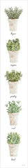 CIN3810 - Potted Herbs - 6x36