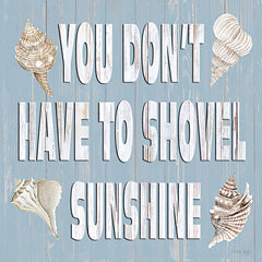 CIN3953 - You Don't Have to Shovel Sunshine - 12x12