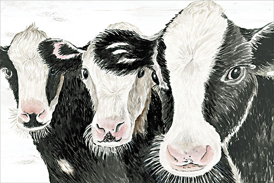 Cindy Jacobs CIN3989 - CIN3989 - Together We Stand - 18x12 Cows, Black & White Cows, Dairy Cows, Farm Animals, Farm from Penny Lane