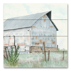 CIN4003PAL - Pickle Barn - 12x12