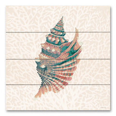 CIN4099PAL - Miami Vibe Seashell 2 - 12x12