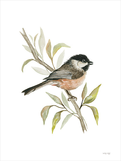 Cindy Jacobs CIN4104 - CIN4104 - Chickadee Songbird - 12x16 Bird, Chickadee, Songbird, Tree Branch, Nature, Watercolor from Penny Lane