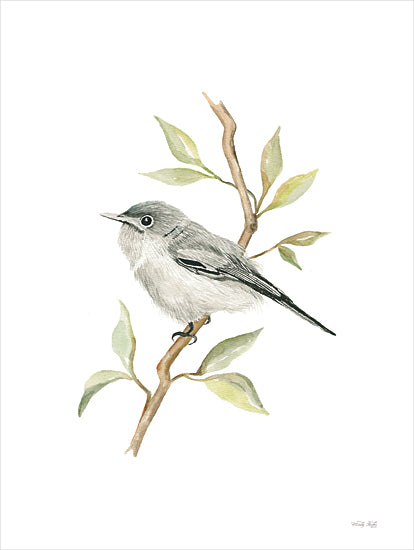 Cindy Jacobs CIN4105 - CIN4105 - Gnatcatcher Songbird - 12x16 Bird, Gnatcatcher, Songbird, Tree Branch, Nature, Watercolor from Penny Lane
