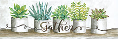 CIN412B - Gather Succulent Pots - 36x12