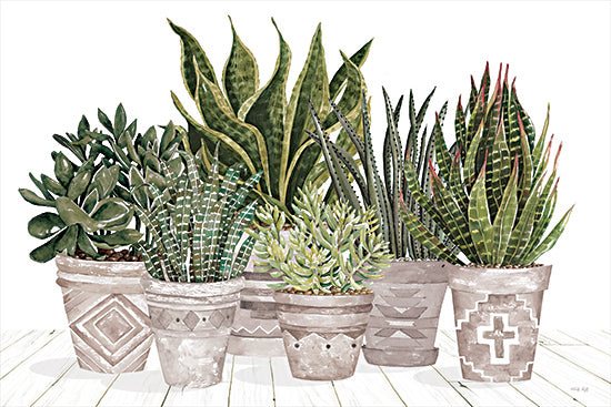 Cindy Jacobs CIN4216 - CIN4216 - Aztec Succulent Set - 18x12 Still Life, Succulents, Cactus, Botanical, Vases, Aztec Vases, Southwestern from Penny Lane