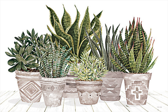 penny succulent CIN4216 - Aztec Succulent Set
