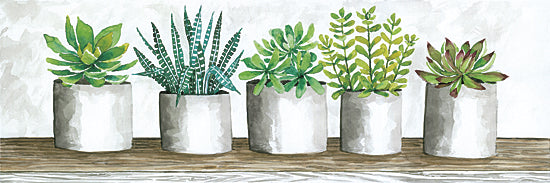 Cindy Jacobs CIN668A - CIN668A - Succulent Pots  - 36x12 Succulents, Cactus, Pots, Still Life, Shelf, Plants, Botanical from Penny Lane