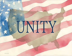 CIN870 - USA Unity