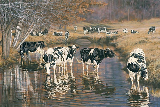 Bonnie Mohr COW145 - Fall Reflections - Cows, Creek, Field, Grazing from Penny Lane Publishing