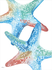 CTD202 - Colorful Starfish - 12x16