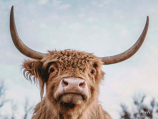 Dakota Diener DAK102 - DAK102 - Highland Selfie - 16x12 Cow, Highland Cow, Photography, Farm, Portrait from Penny Lane