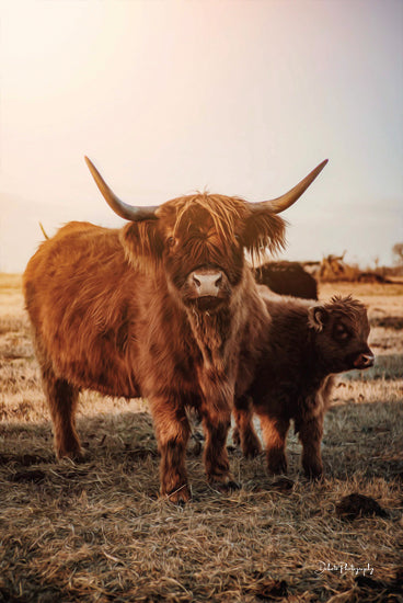 Dakota Diener DAK105 - DAK105 - Highland Mom and Daughter I - 12x18 Cows Highland Cows, Mother & Daughter, Photography, Farm, Portrait from Penny Lane