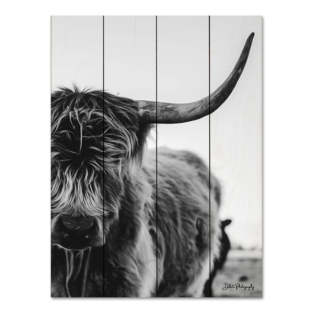 Dakota Diener DAK112PAL - DAK112PAL - The Cow - 12x16 Cow, Highland Cow, Photography, Farm, Portrait, Black & White from Penny Lane