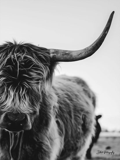 Dakota Diener DAK112 - DAK112 - The Cow - 12x16 Cow, Highland Cow, Photography, Farm, Portrait, Black & White from Penny Lane