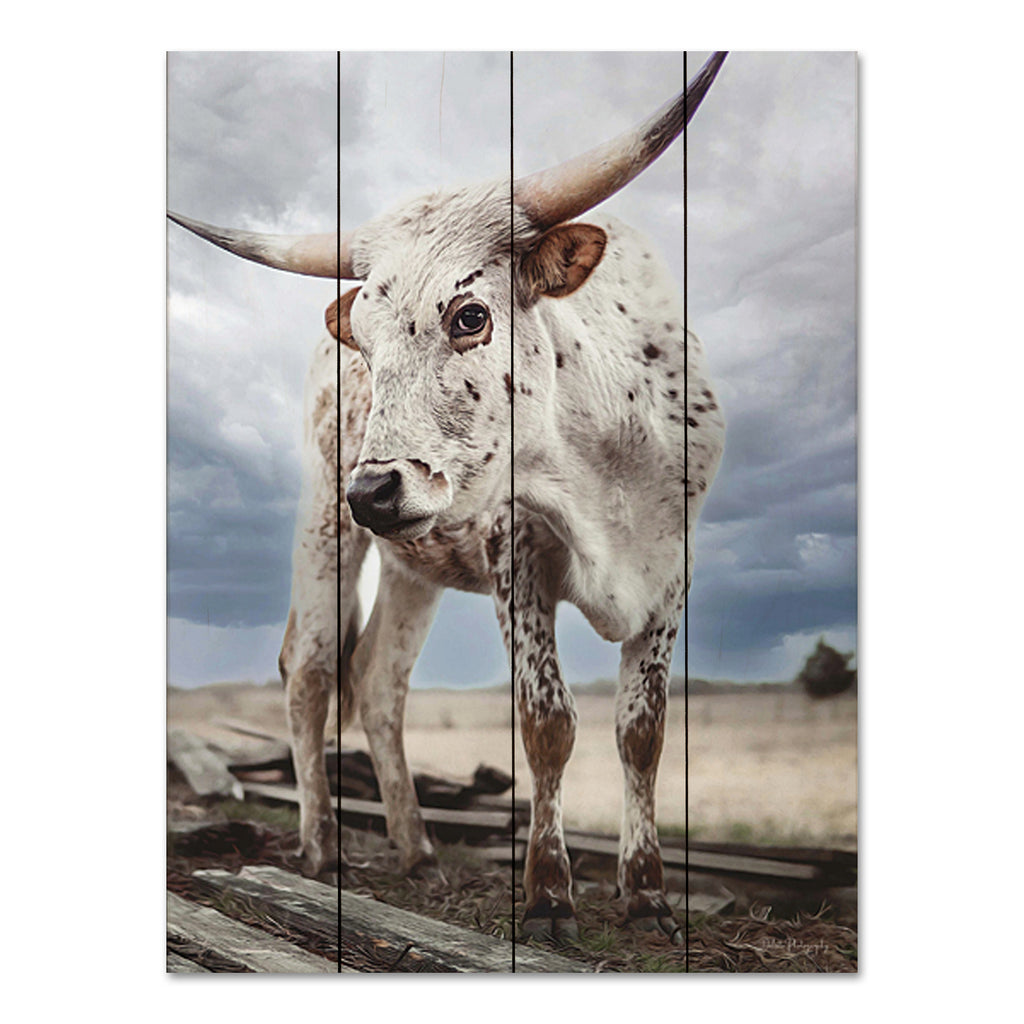 Dakota Diener DAK147PAL - DAK147PAL - Cloudy Day Cow - 12x16  from Penny Lane