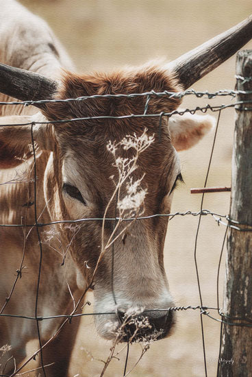 Dakota Diener DAK154 - DAK154 - Deep in Thought - 12x18 Cow, Fence, Pasture, Photography, Farm Animal from Penny Lane