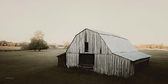 DAK184 - Barn in Peaceful Pasture - 18x9