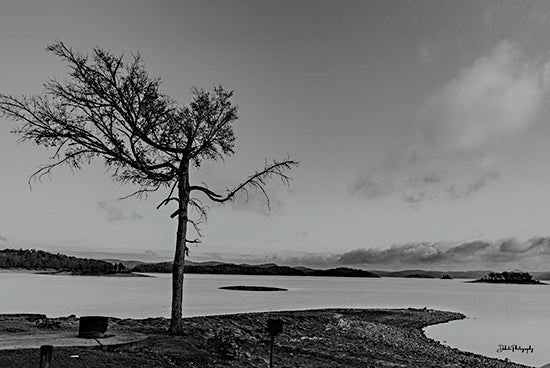 Dakota Diener DAK222 - DAK222 - Reaching Out - 18x12 Photography, Landscape, Tree, River, Black & White from Penny Lane