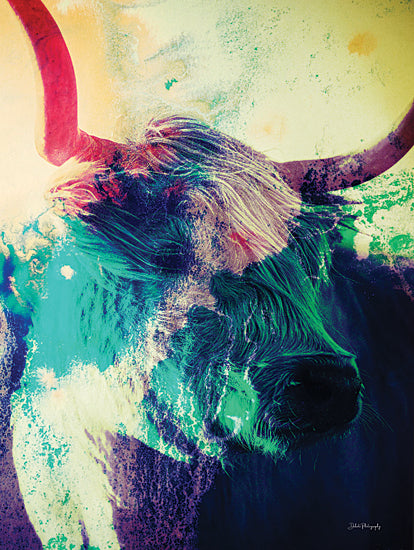 Dakota Diener DAK267 - DAK267 - Colorful Highland III - 12x16  Cow, Highland, Photography, Colorful from Penny Lane